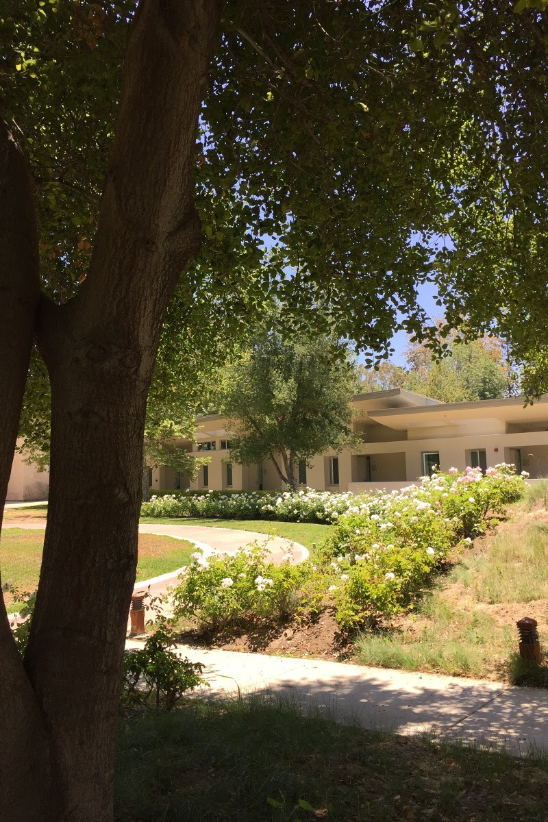 Holy Spirit Retreat Center<br />
Encino, CA Building viewable in the distance from behind a tree