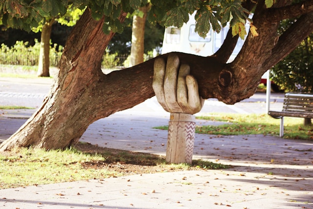 Large tree with a wooden structure made to look like a hand holding up a large branch